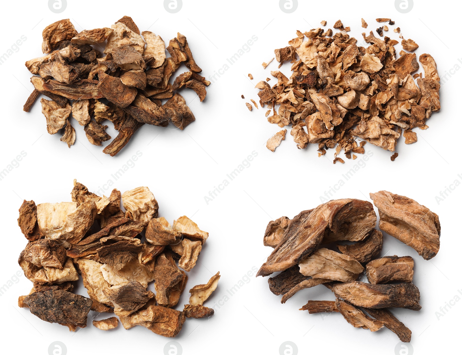 Image of Chicory. Dry pieces of root isolated on white, set. Top view