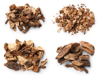 Image of Chicory. Dry pieces of root isolated on white, set. Top view