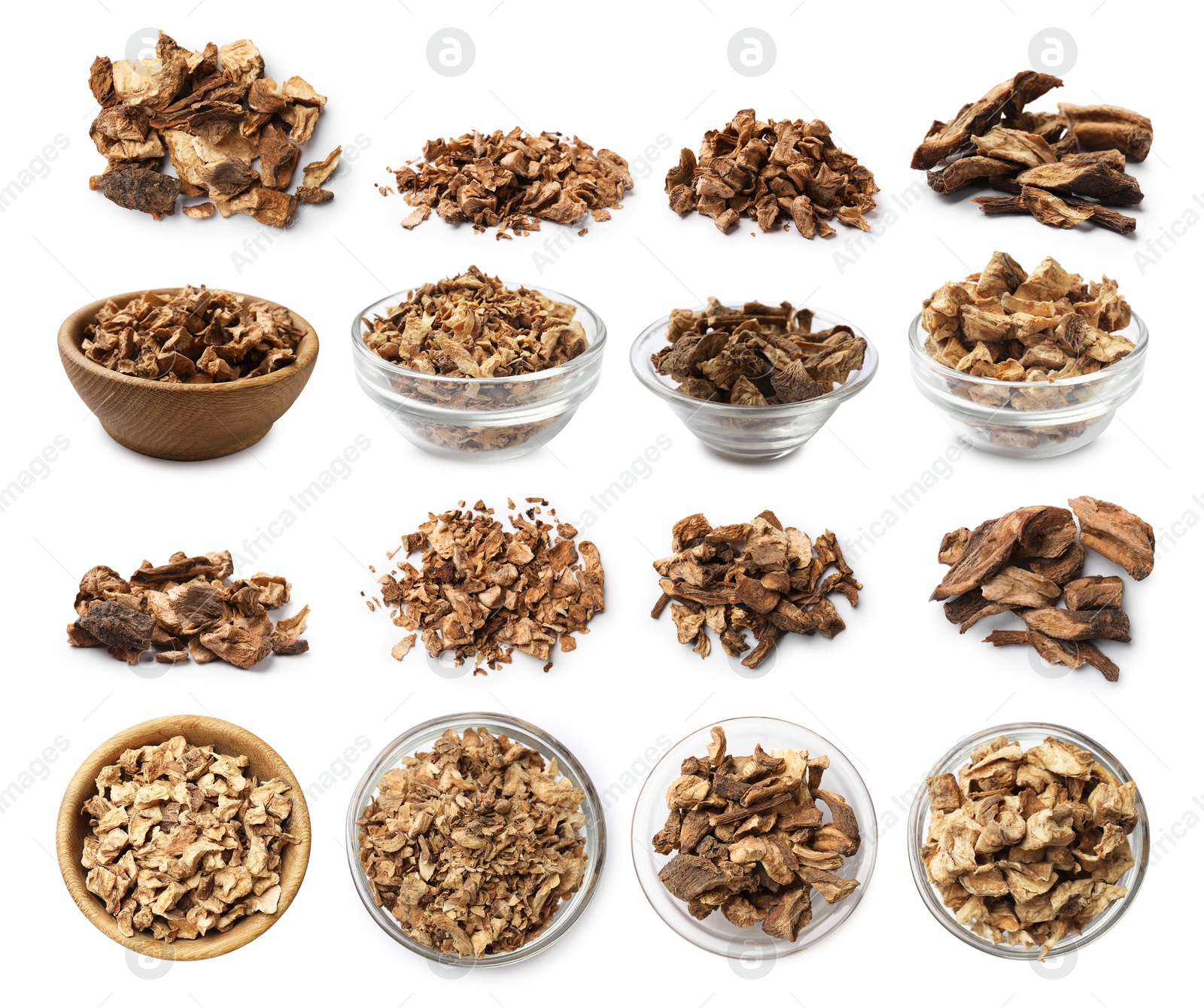 Image of Chicory. Dry pieces of root isolated on white, set