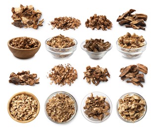 Image of Chicory. Dry pieces of root isolated on white, set