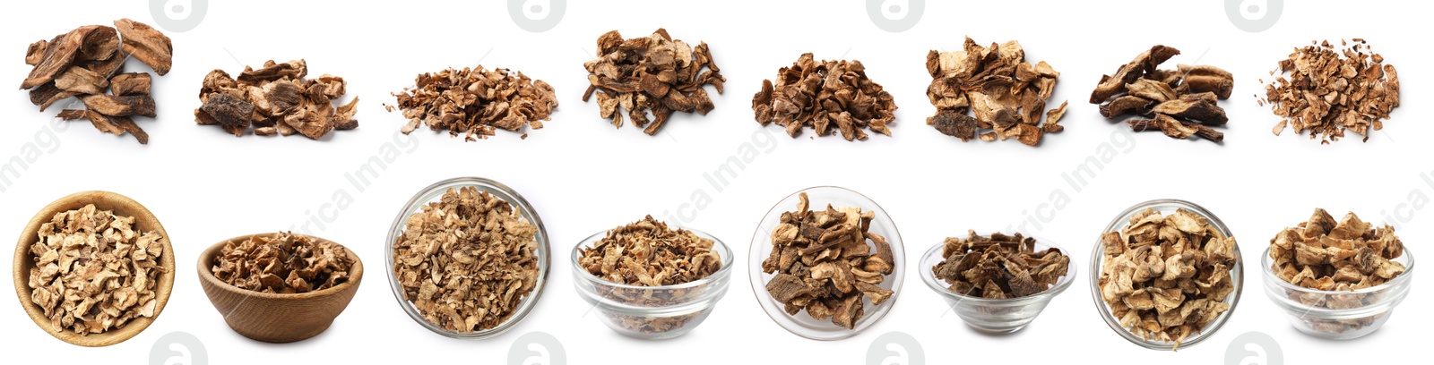 Image of Chicory. Dry pieces of root isolated on white, set
