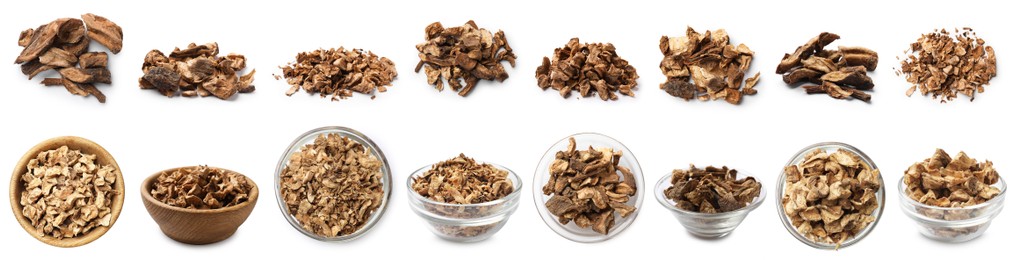 Image of Chicory. Dry pieces of root isolated on white, set