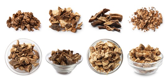 Image of Chicory. Dry pieces of root isolated on white, set