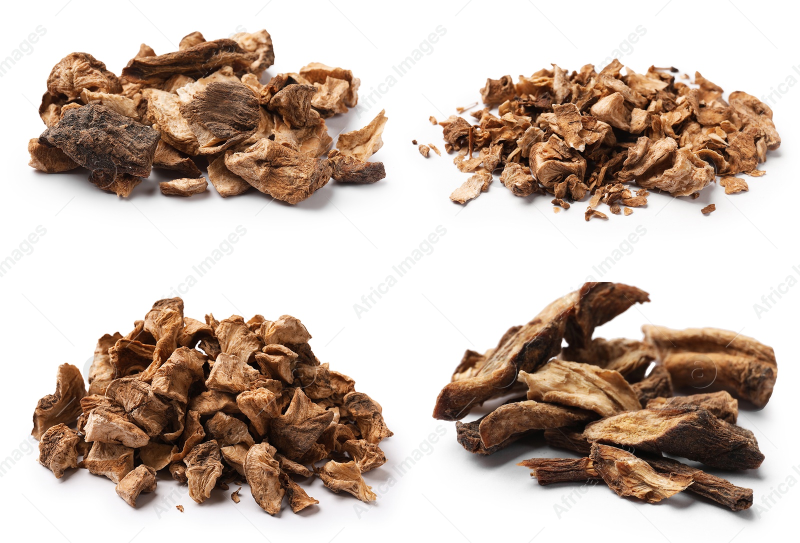 Image of Chicory. Dry pieces of root isolated on white, set