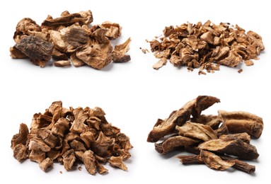 Image of Chicory. Dry pieces of root isolated on white, set