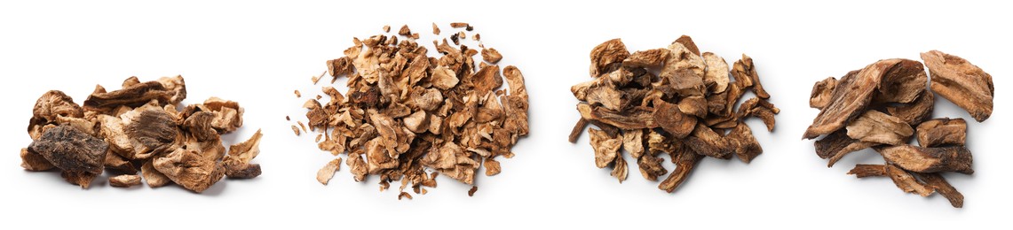 Image of Chicory. Dry pieces of root isolated on white, set