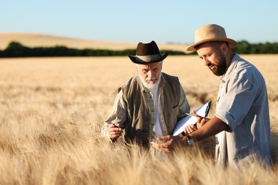 Photo of Farmers in field with ripe wheat outdoors, space for text