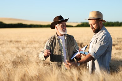 Photo of Farmers in field with ripe wheat outdoors, space for text
