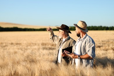 Photo of Farmers in field with ripe wheat outdoors, space for text