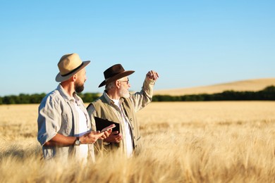 Photo of Farmers in field with ripe wheat outdoors, space for text