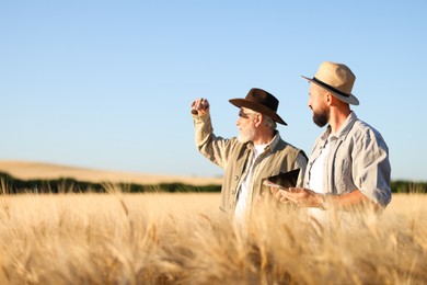 Photo of Farmers in field with ripe wheat outdoors, space for text