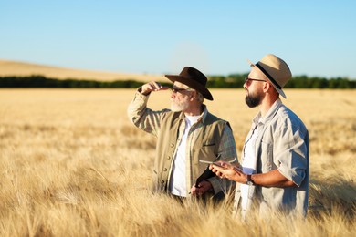 Photo of Farmers in field with ripe wheat outdoors, space for text