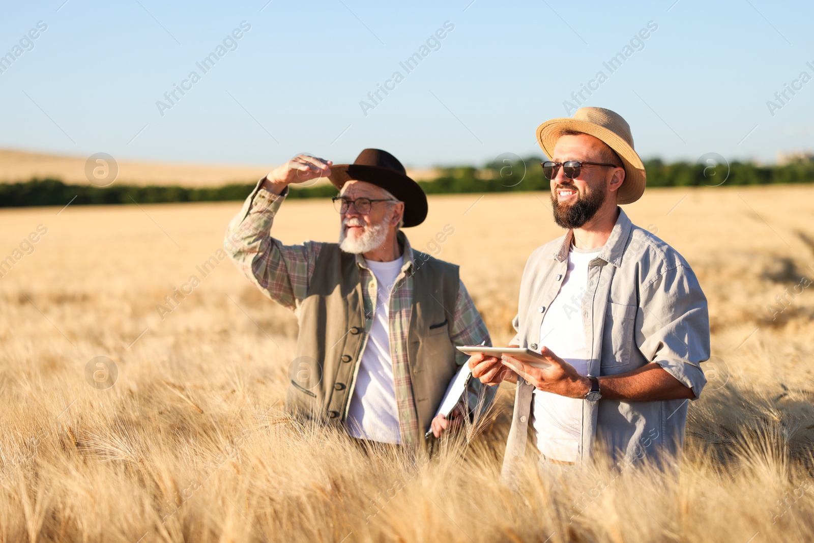 Farmers in field with ripe wheat outdoors, space for text Photo of Farmers in field with ripe wheat outdoors, space for text