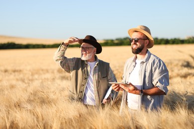 Photo of Farmers in field with ripe wheat outdoors, space for text