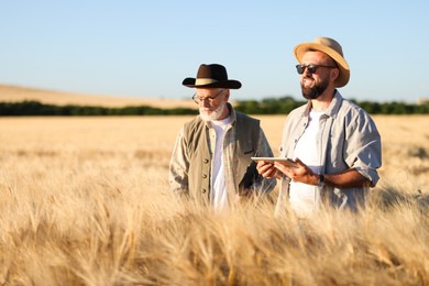 Photo of Farmers in field with ripe wheat outdoors, space for text