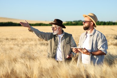 Photo of Farmers in field with ripe wheat outdoors