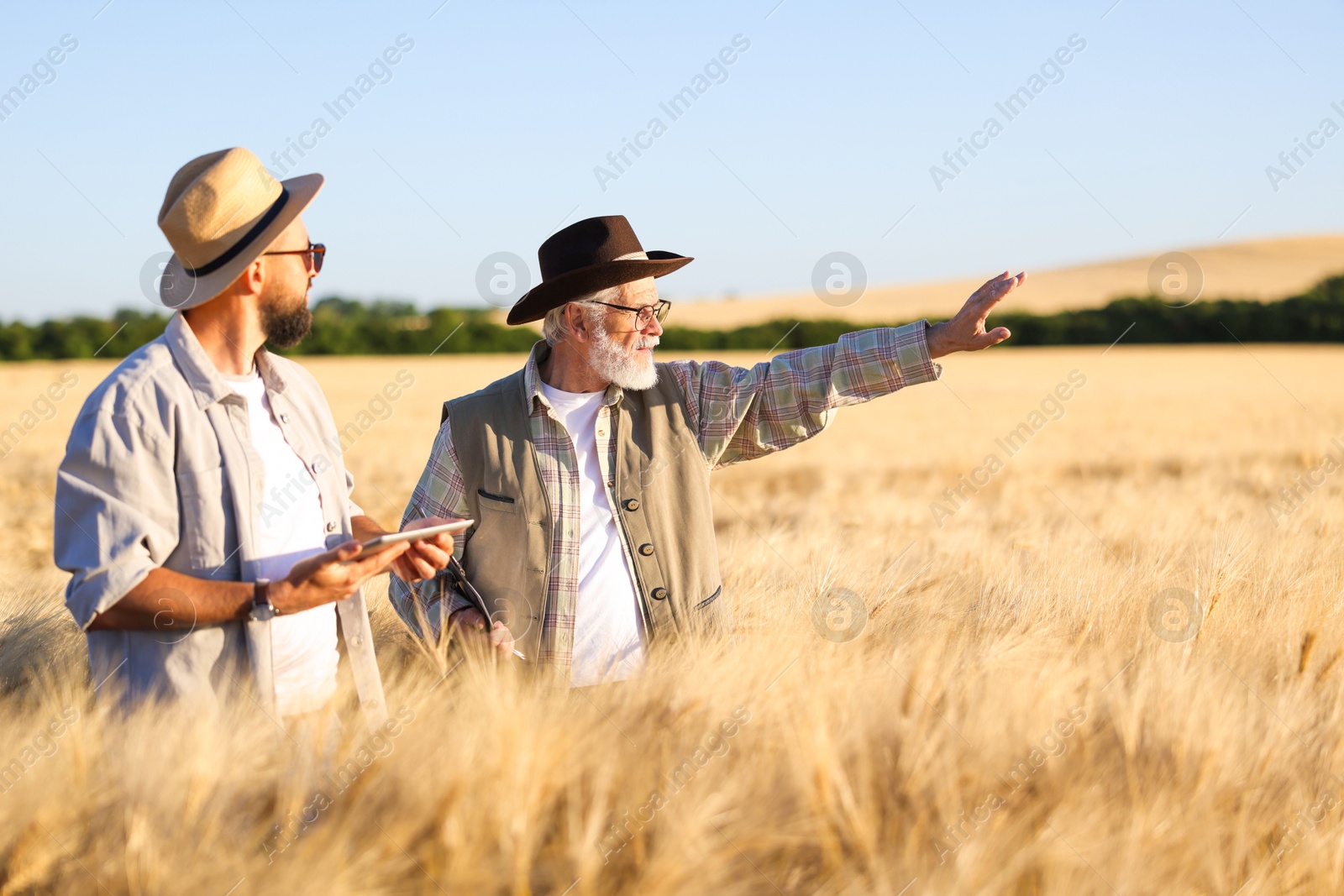 Photo of Farmers in field with ripe wheat outdoors