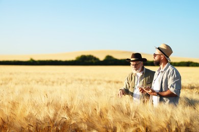 Photo of Farmers in field with ripe wheat outdoors, space for text