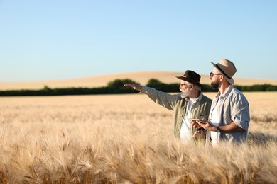 Photo of Farmers in field with ripe wheat outdoors, space for text