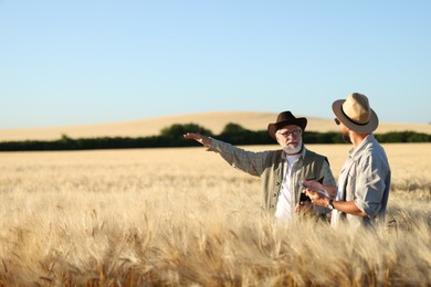 Photo of Farmers in field with ripe wheat outdoors, space for text