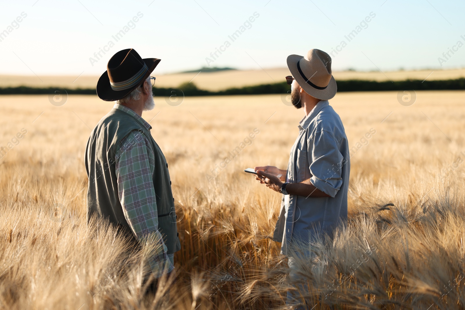 Photo of Farmers in field with ripe wheat outdoors, back view