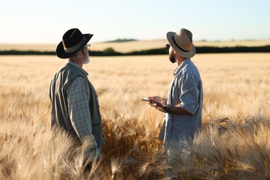 Photo of Farmers in field with ripe wheat outdoors, back view