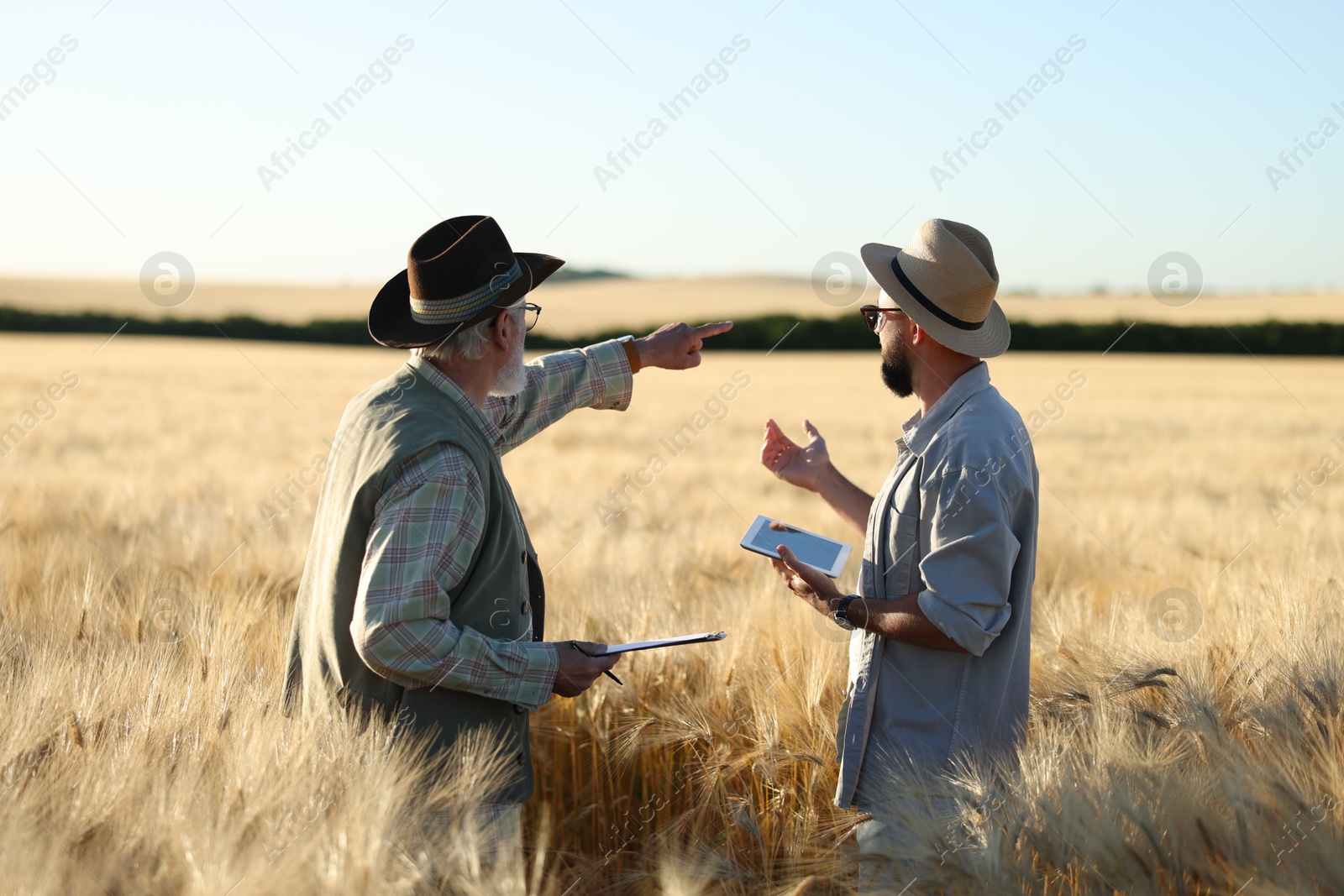 Photo of Farmers in field with ripe wheat outdoors, back view