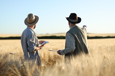 Photo of Farmers in field with ripe wheat outdoors, back view
