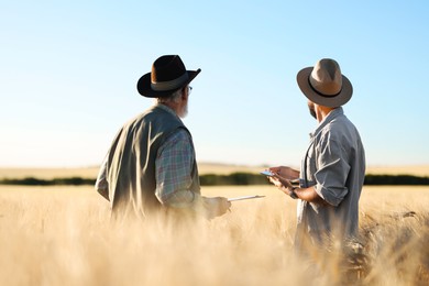 Photo of Farmers in field with ripe wheat outdoors, back view