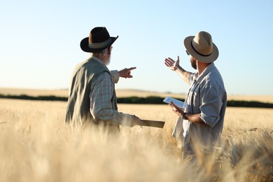 Photo of Farmers in field with ripe wheat outdoors, back view