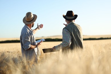 Photo of Farmers in field with ripe wheat outdoors, back view