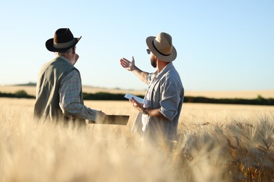 Photo of Farmers in field with ripe wheat outdoors, back view