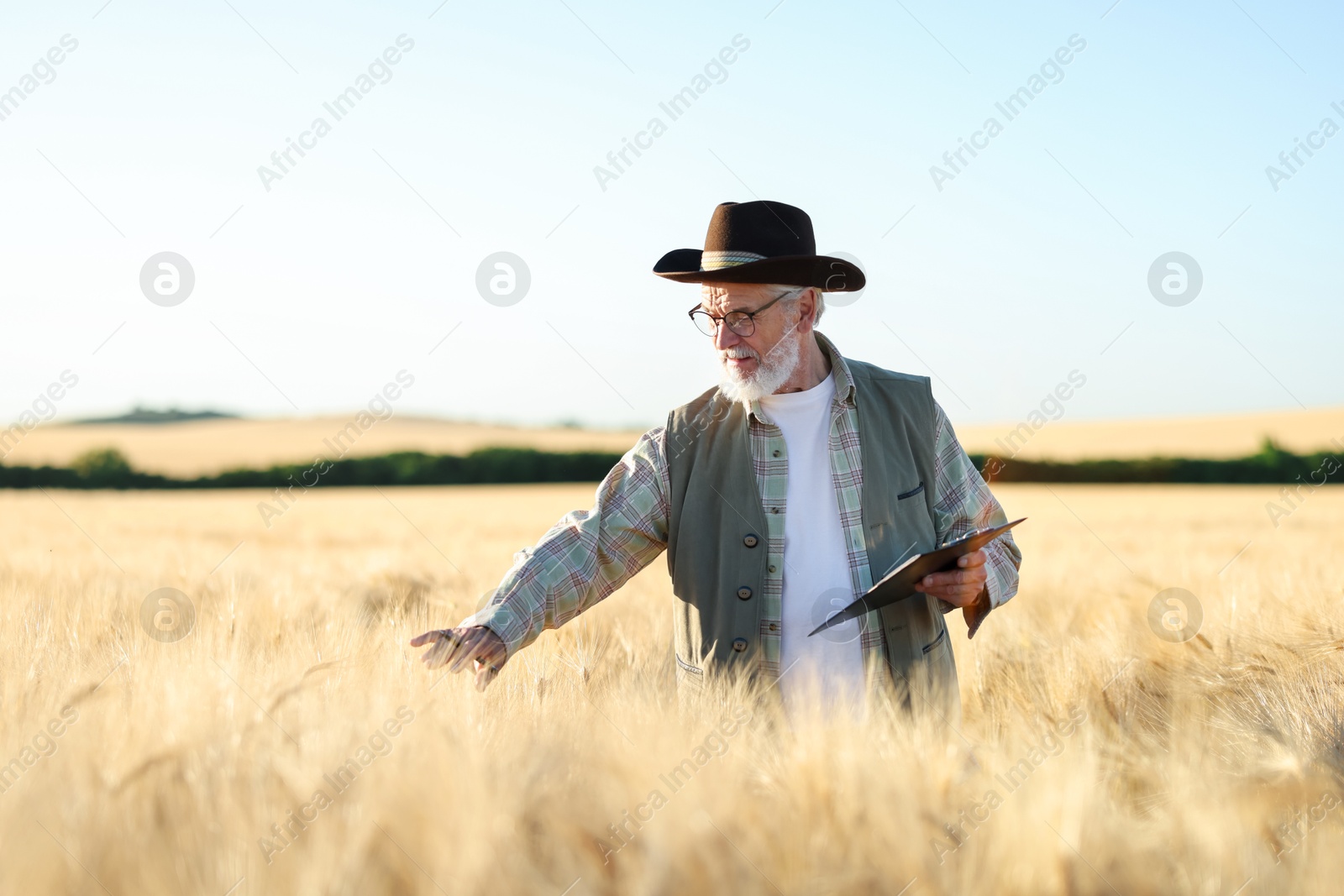Senior farmer with clipboard in field of ripe wheat outdoors Photo of Senior farmer with clipboard in field of ripe wheat outdoors