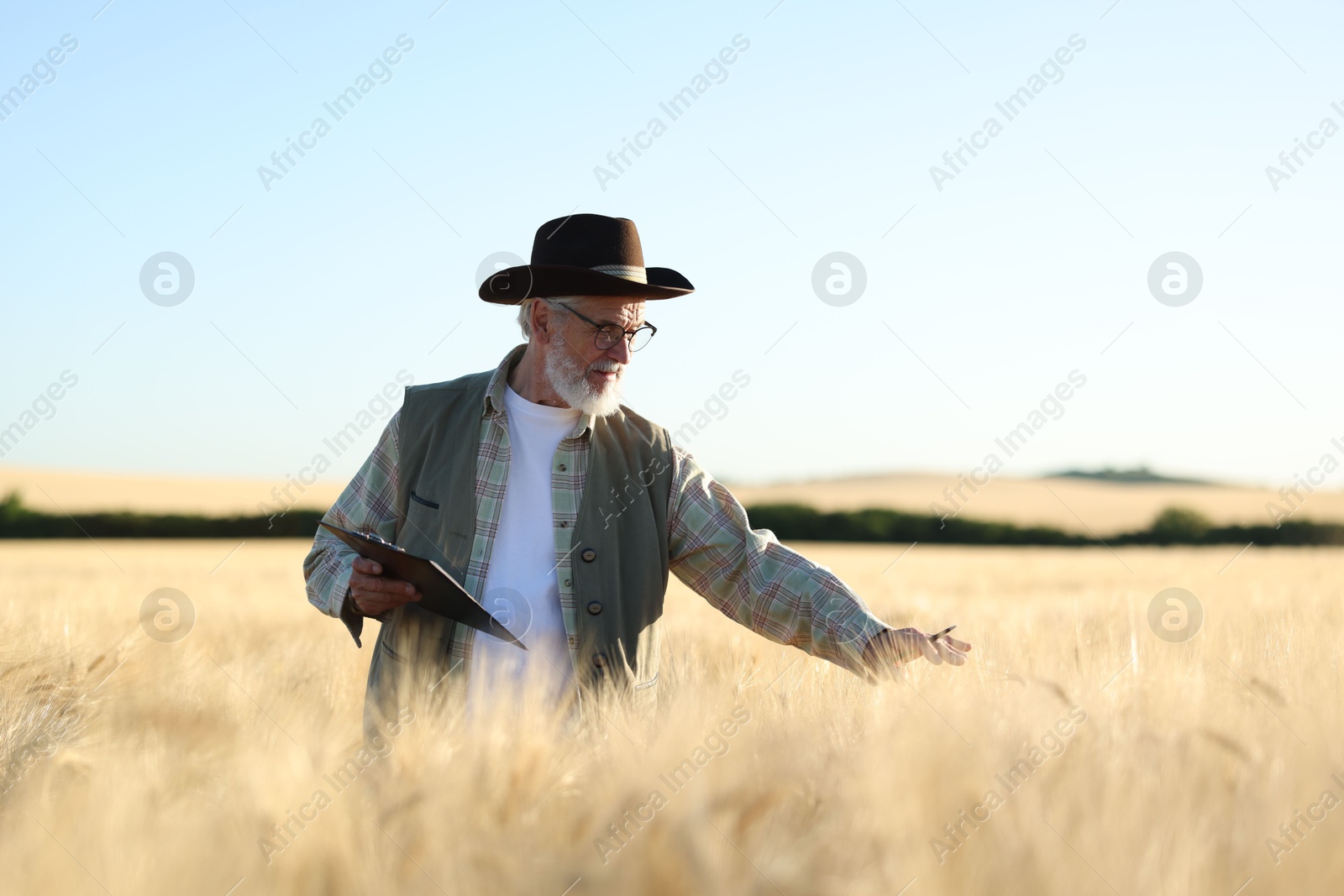 Senior farmer with clipboard in field of ripe wheat outdoors Photo of Senior farmer with clipboard in field of ripe wheat outdoors