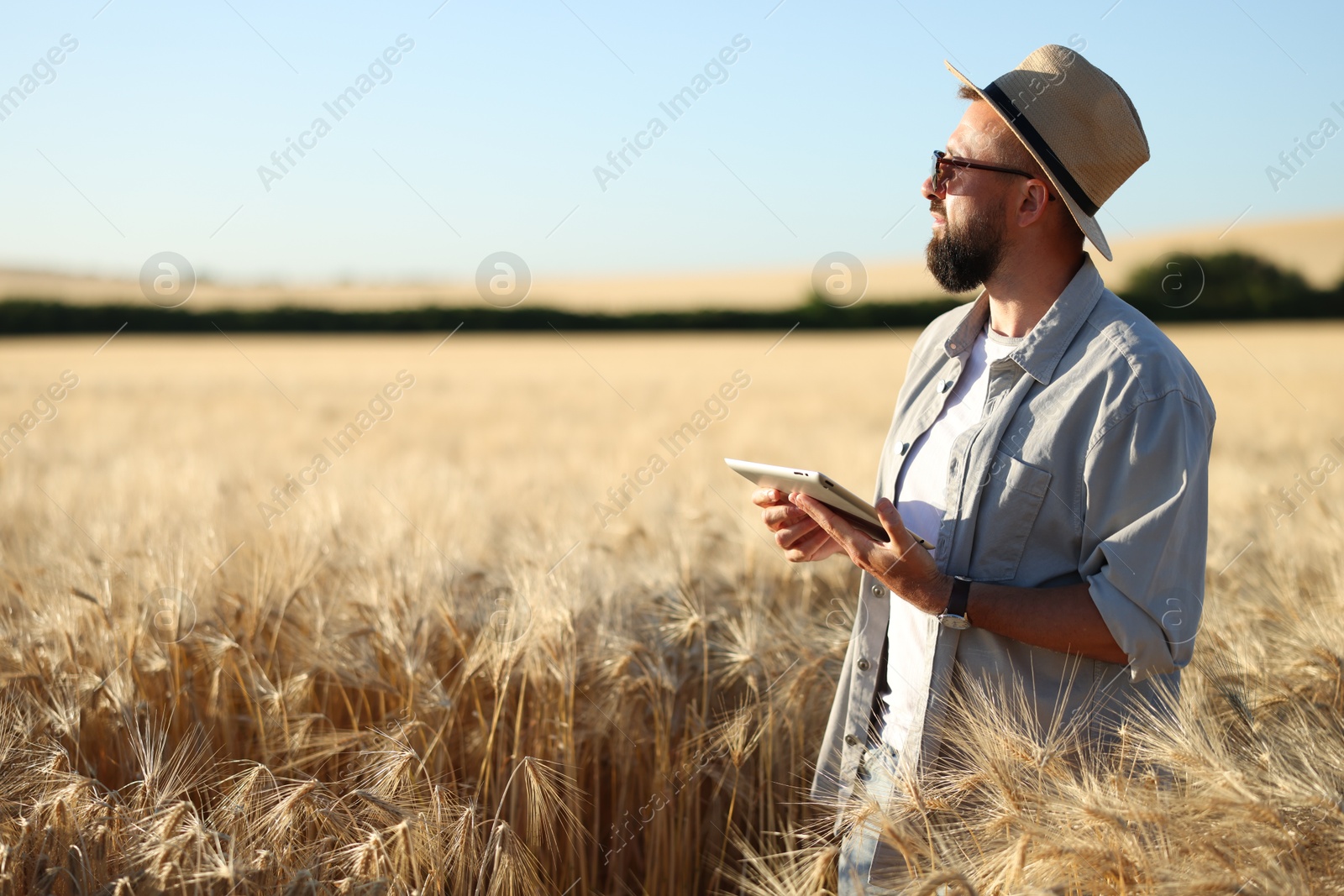 Farmer with tablet in field of ripe wheat outdoors, space for text Photo of Farmer with tablet in field of ripe wheat outdoors, space for text