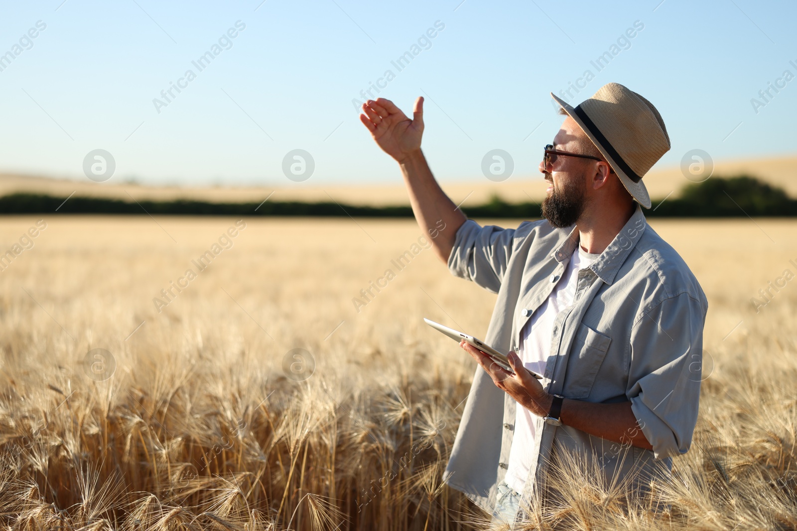 Farmer with tablet in field of ripe wheat outdoors, space for text Photo of Farmer with tablet in field of ripe wheat outdoors, space for text