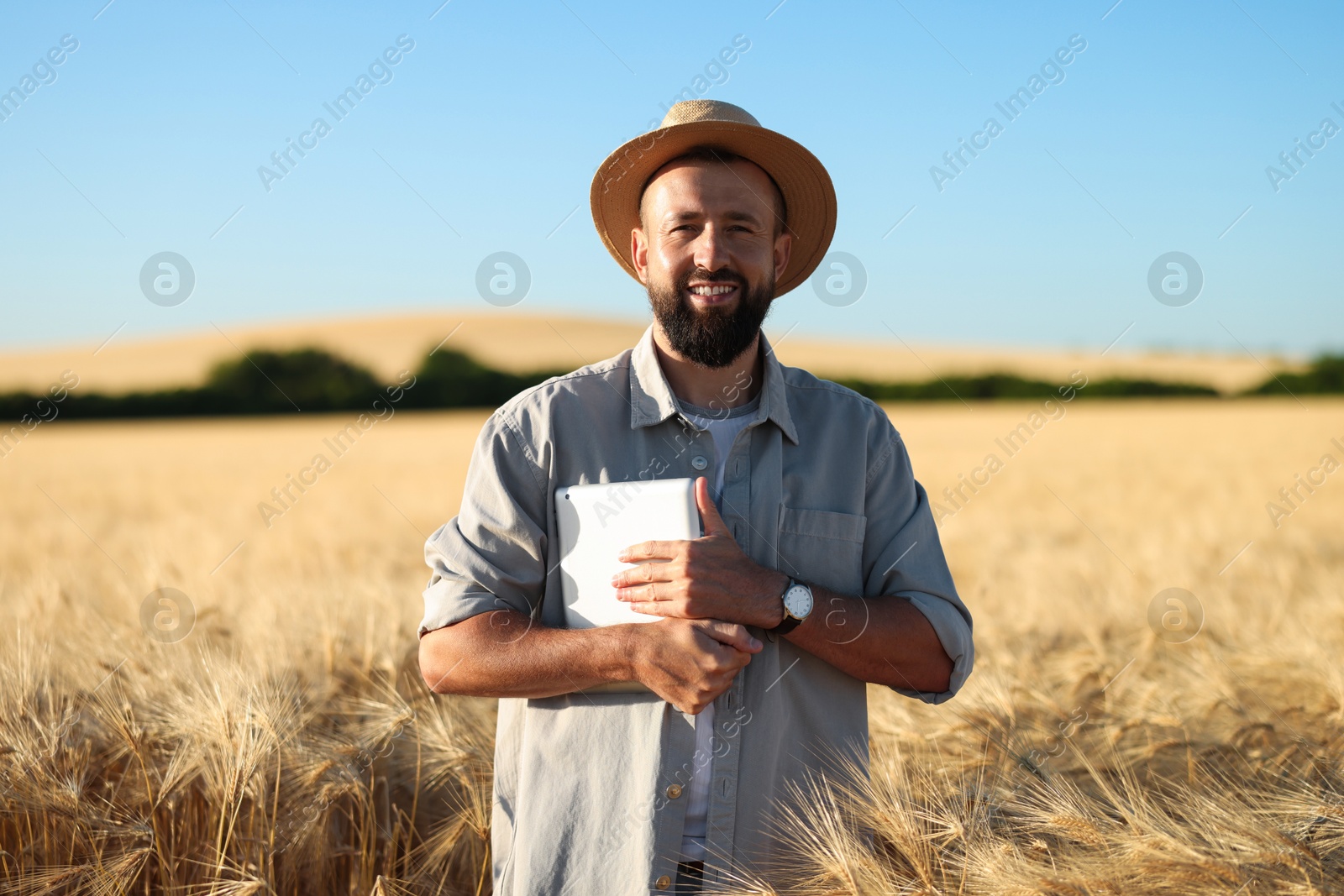 Farmer with tablet in field of ripe wheat outdoors Photo of Farmer with tablet in field of ripe wheat outdoors