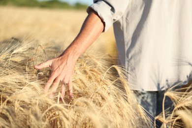 Photo of Man touching spikelets of ripe wheat in field outdoors, closeup