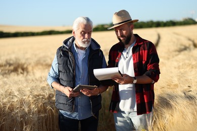 Photo of Farmers in field with ripe wheat outdoors