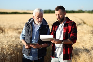 Photo of Farmers in field with ripe wheat outdoors