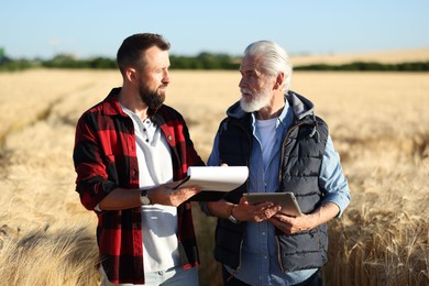Photo of Farmers in field with ripe wheat outdoors