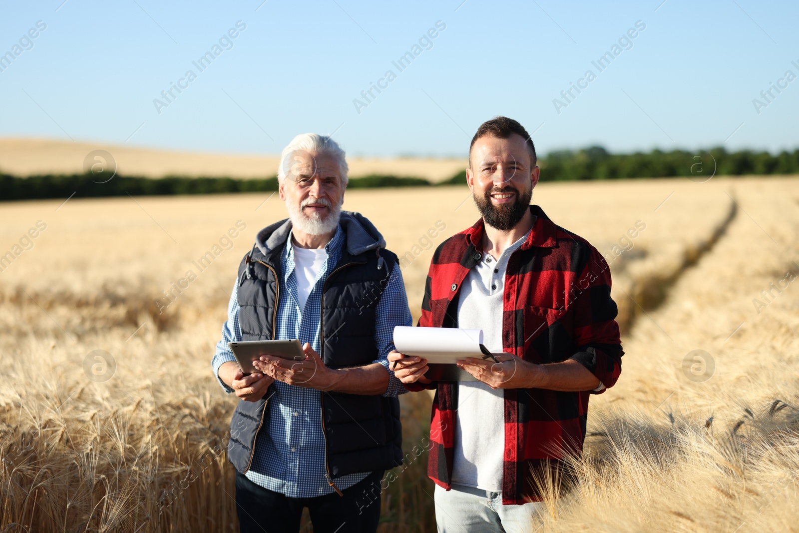 Photo of Farmers in field with ripe wheat outdoors