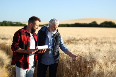 Photo of Farmers in field with ripe wheat outdoors, space for text