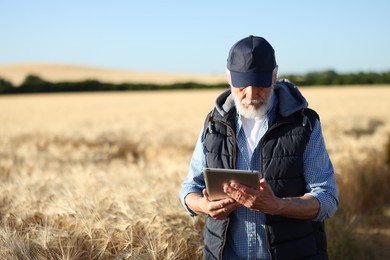 Photo of Senior farmer with tablet in field of ripe wheat outdoors, space for text