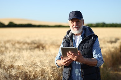 Photo of Senior farmer with tablet in field of ripe wheat outdoors, space for text