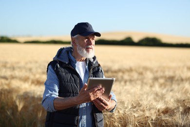 Photo of Senior farmer with tablet in field of ripe wheat outdoors, space for text
