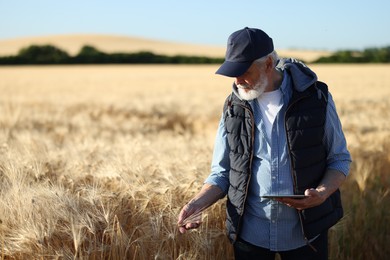 Photo of Senior farmer with tablet in field of ripe wheat outdoors, space for text
