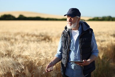 Photo of Senior farmer with tablet in field of ripe wheat outdoors, space for text