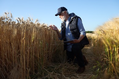 Photo of Senior farmer with tablet in field of ripe wheat outdoors