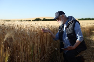 Photo of Senior farmer with tablet in field of ripe wheat outdoors, space for text